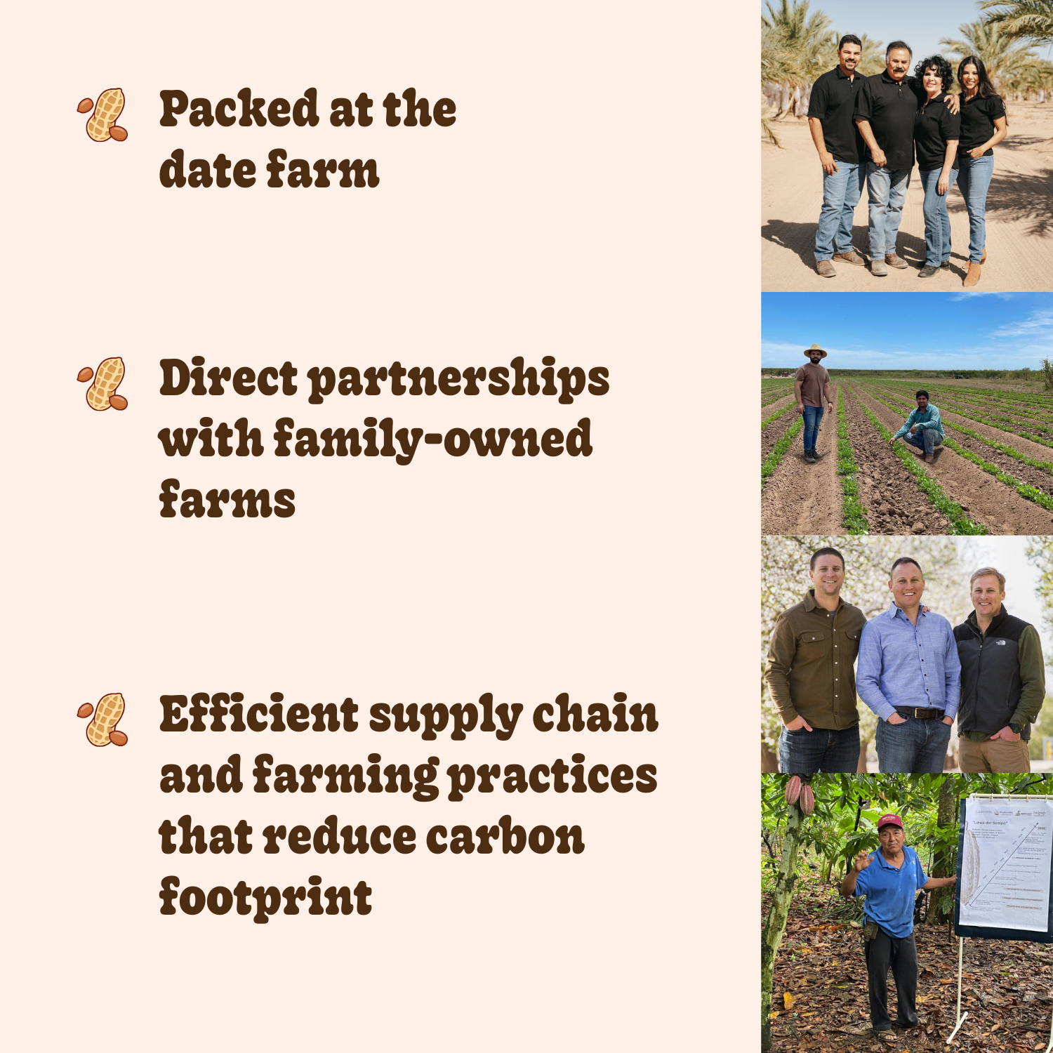 Variety Pack Nut Butter Dates | Snack Packs